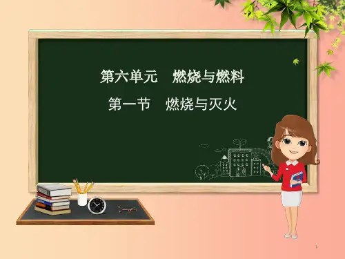 九年级化学上册 第六单元 燃烧与燃料 第一节 燃烧与灭火课件 (新版)鲁教版