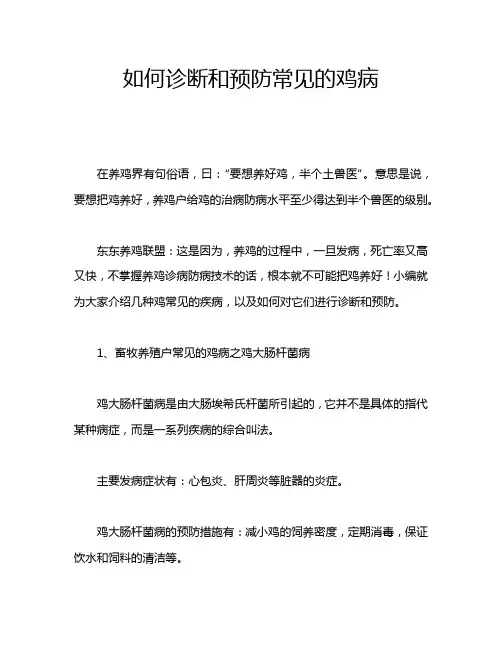 如何诊断和预防常见的鸡病
