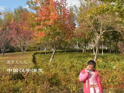 中国汉字演变