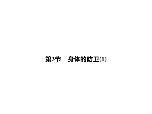 九年级下科学《身体的防卫》课件浙教版