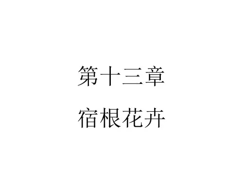 花卉学课件第十三章宿根花卉(一)
