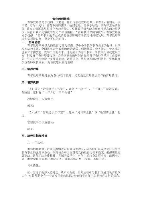 青年教师培养