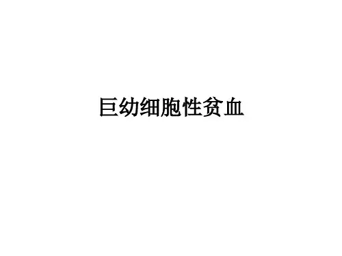 内科学:巨幼细胞性贫血