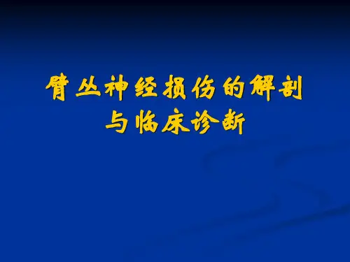 臂丛神经损伤的临床表现及诊断