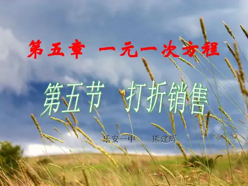 打折销售PPT课件