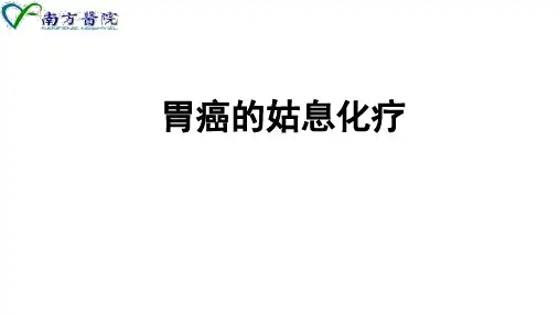胃癌的姑息化疗