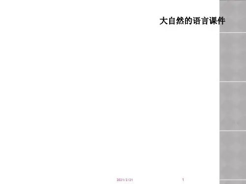 大自然的语言课件
