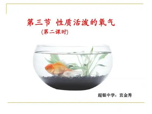 氧气的性质