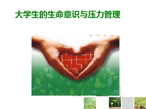 大学生生命教育与心理危机干预