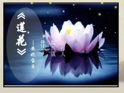 书籍介绍 安妮宝贝之《莲花》ppt介绍