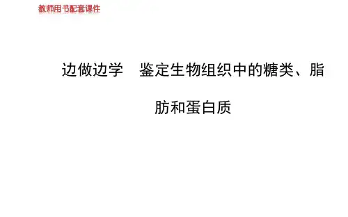 三大物质鉴定.