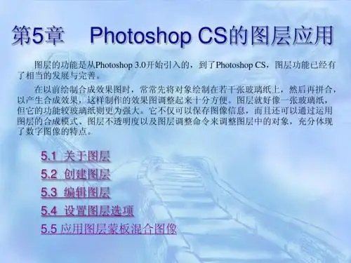 第5章 photoshop 入门课件