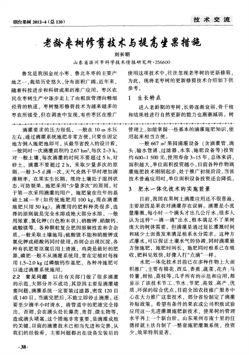 老龄枣树修剪技术与提高坐果措施