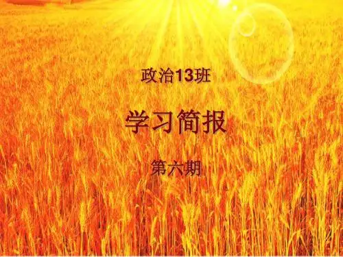 政治13班学习简报第六期