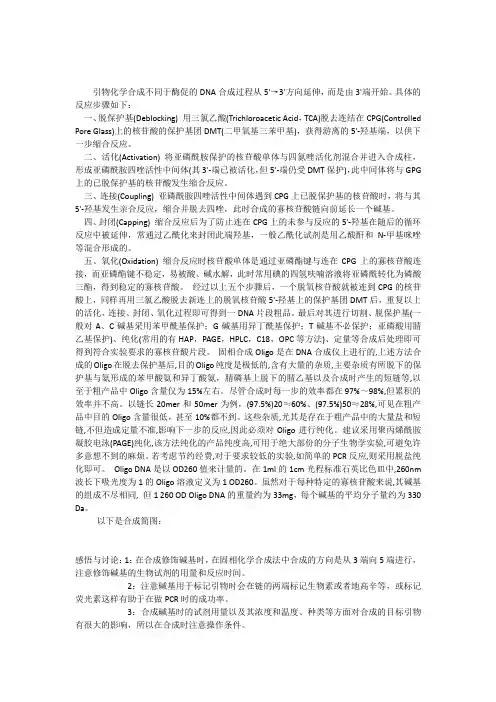 引物合成步骤