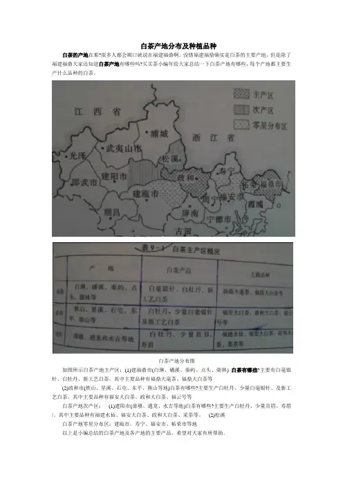 白茶产地分布及种植品种