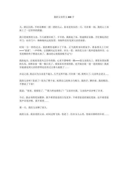 我的父亲作文600字