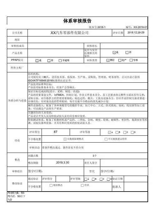 体系审核报告