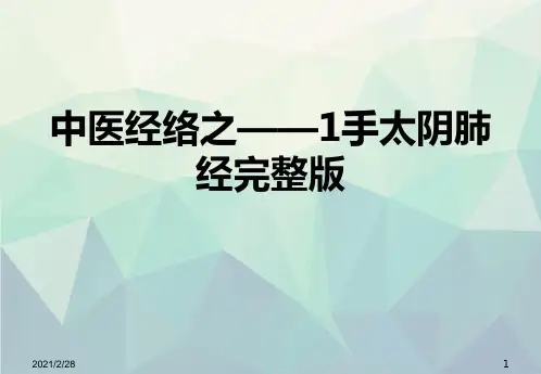中医经络之——1手太阴肺经完整版文稿演示