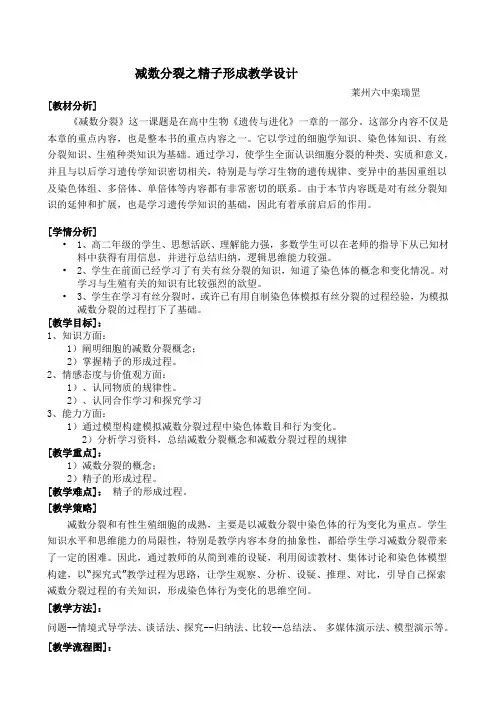 减数分裂第一课时设计