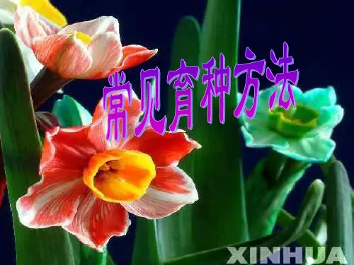 常见育种方法