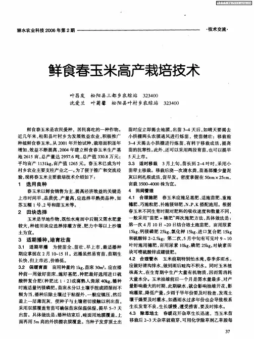 鲜食春玉米高产栽培技术