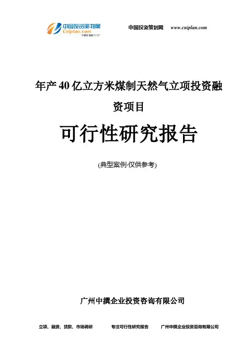 年产40亿立方米煤制天然气融资投资立项项目可行性研究报告(中撰咨询)