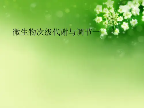 微生物次级代谢与调节一优秀课件