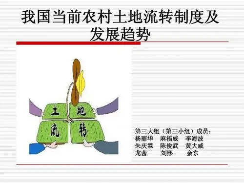 第三大组(第三小组)