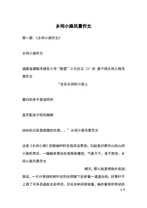 乡间小路风景作文