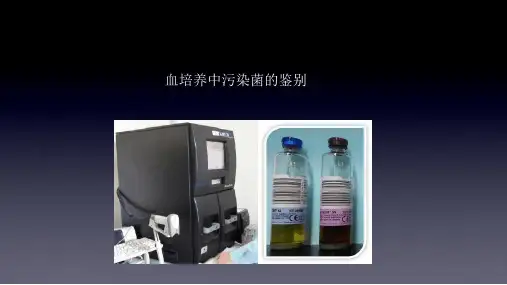 血培养中污染菌和致病菌的判断