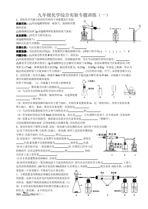 九年级化学综合实验专题训练(一)