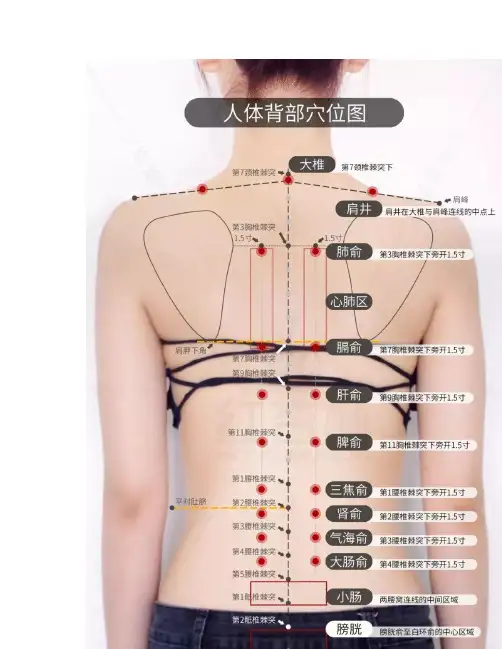 能量平衡灸穴位图汇总,