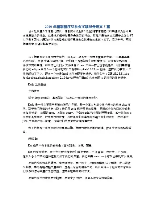 2019年精彩程序员社会实践报告范文5篇