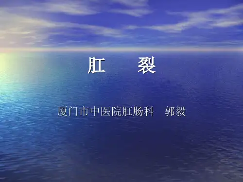 肛_裂