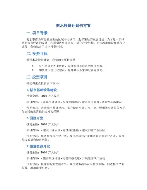 衡水投资计划书方案