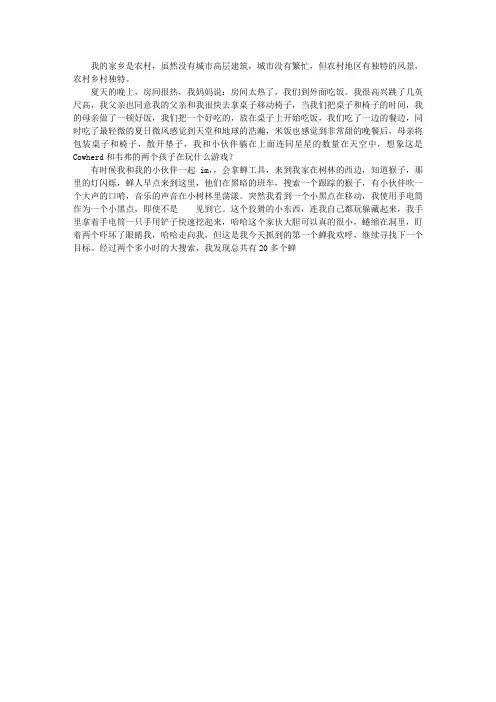 我爱家乡的夏夜