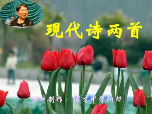 《现代诗两首·长城谣·一片槐树叶》课件