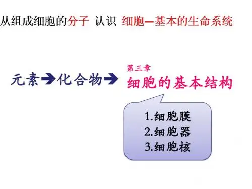 细胞膜的功能+结构