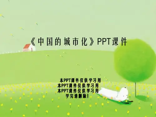 《中国的城市化》PPT课件