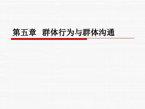 第五章  群体行为与群体沟通