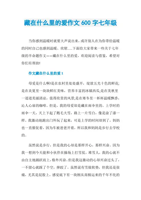 藏在什么里的爱作文600字七年级