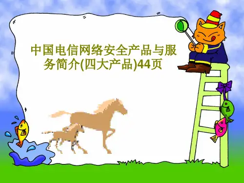 中国电信网络安全产品与服务简介(四大产品)44页共46页