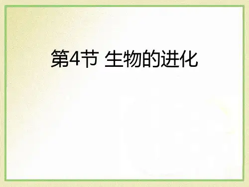 《生物的进化》公开课课件