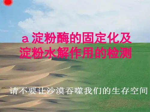 实验6:α淀粉酶固定化