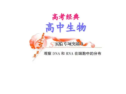 高考生物实验专项突破复习3 观察DNA和RNA在细胞中的分布
