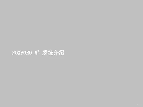 A2系统介绍20080129