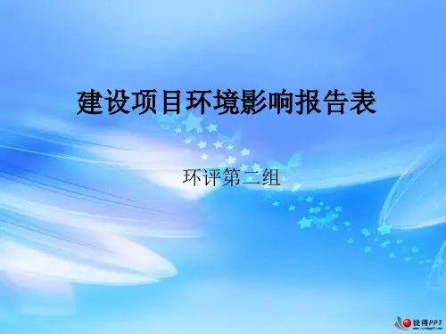 环评报告表