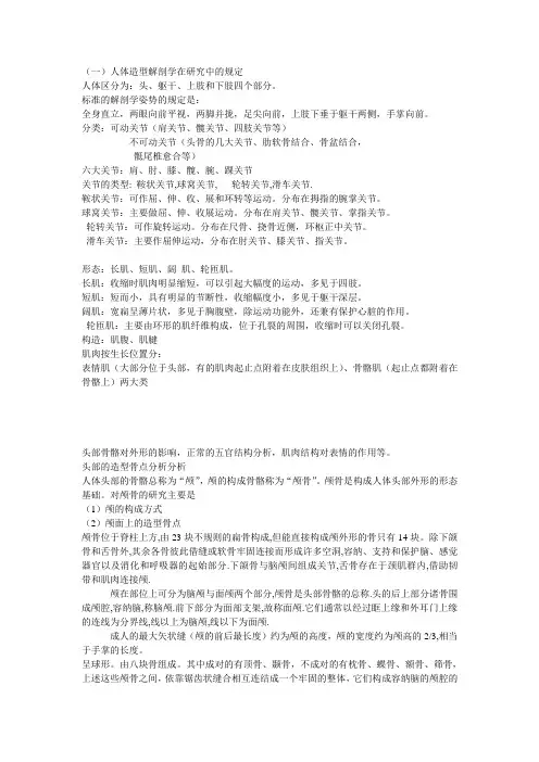 艺雕塑解剖
