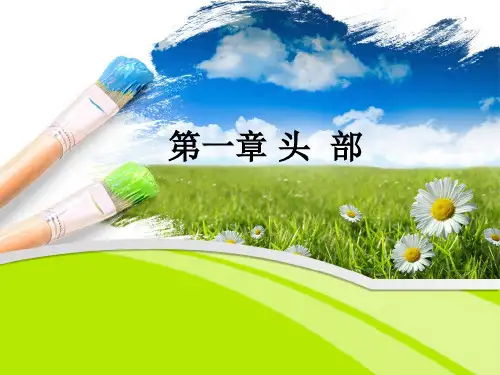 2第一章局部解剖学头部